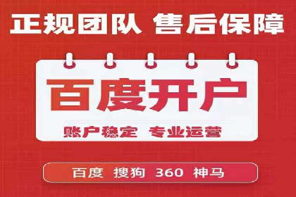 SEM运营公司案例解析：精准广告投放技巧